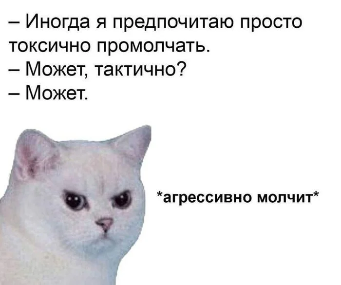 Keep silent - Picture with text, Humor, Memes, cat, Психолог, Psychology, Tact, Age, Expectation and reality, Sad humor, Psychotherapy, Silence, Aggression, Vital, Irony, Telegram (link)