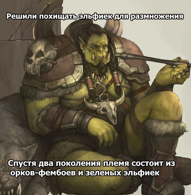 Последняя подборка анимемов - Опрос, Аниме мемы, Аниме, Warhammer 40k, Sousou no Frieren, Кот, Интервью, Манга, Dragon Ball, Made in Abyss, Tokyo Ghoul, Kobayashi-San chi no maidragon, Konosuba, Genshin Impact, Waifu, Орки, Эльфы, Гифка, Длиннопост