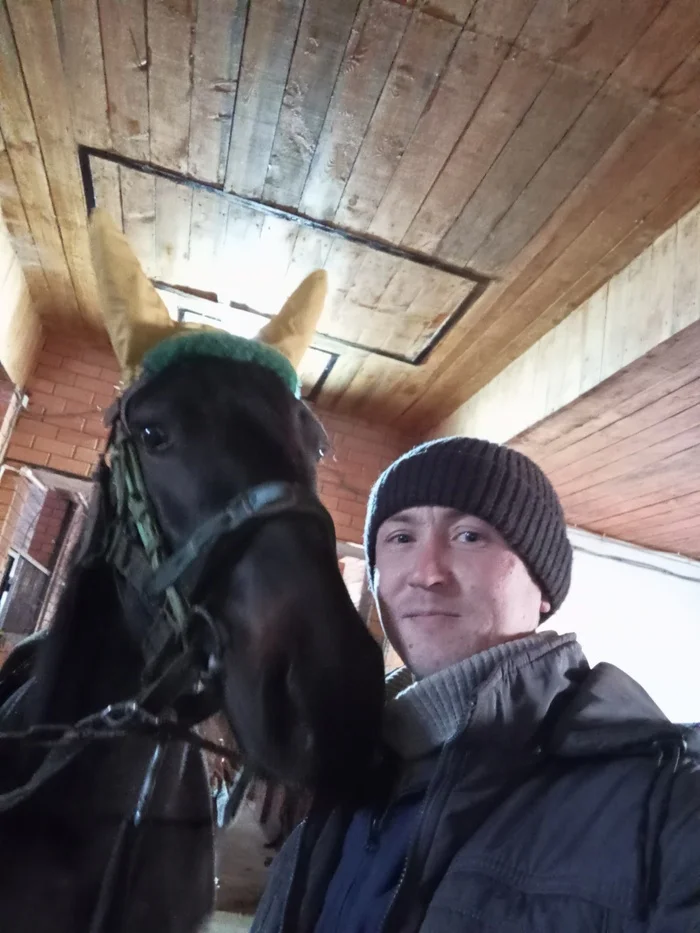 Winter, cold - My, Alexei, Alex, Longpost, Horses, The photo