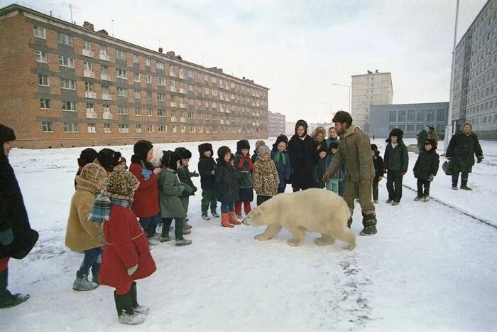 Необычный гость - СССР, Сделано в СССР, Детство в СССР, Молодежь, Молодость, Ностальгия, Айка, Норильск, 70-е, Медведи, Фотография, Старое фото, Дети, Зима, Telegram (ссылка)