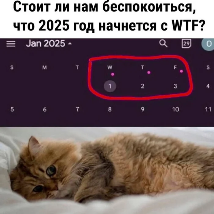 Hmm - Humor, Picture with text, The photo, cat, WTF, Black humor, New Year, 2025, Repeat