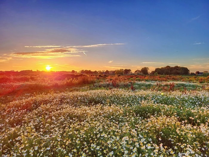 Beautiful sunset - My, The photo, Nature, Netherlands (Holland), Sunset, Summer, Landscape