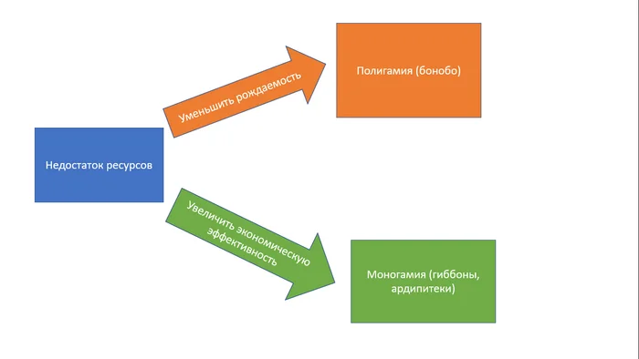 Vaginocapital of the Celestial Empire in diagrams: bonobos and Lovejoy: anthropogenesis.ru - My, Feminism, Matriarchy, Male movement, Alexey Podnebesny, Incels, Anthropogenesis ru, Anthropogenesis, Research Article, Demography, Communism, Video, Youtube, Longpost