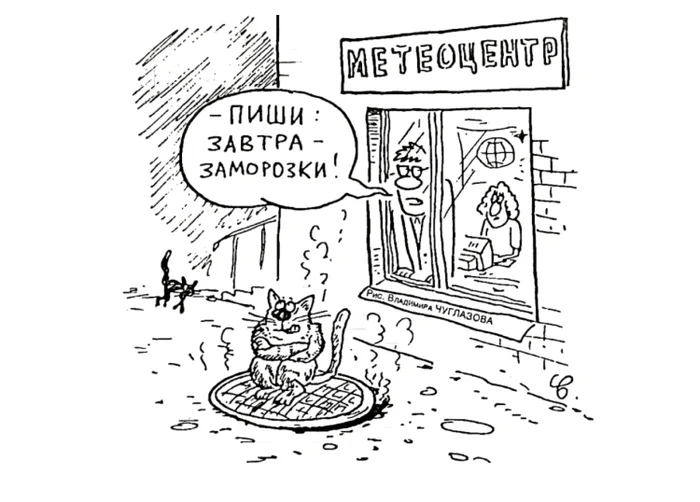 The most accurate weather forecast - My, Humor, Picture with text, cat, Weather forecast, freezing, Winter, Russia, Housing and communal services, Weather, Caricature, The street, Snow