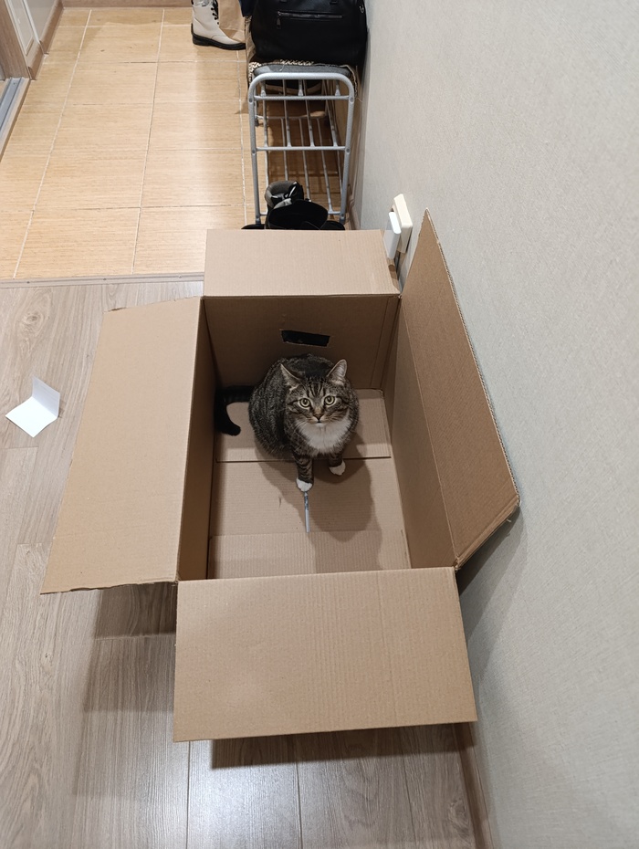 ���������� ���������