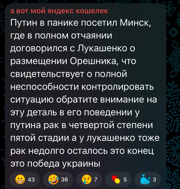 Well, that's all - Vladimir Putin, Special operation, Alexander Lukashenko, That's all, End, Politics, Fake news, Irony, Screenshot, Hazelnut (rocket)