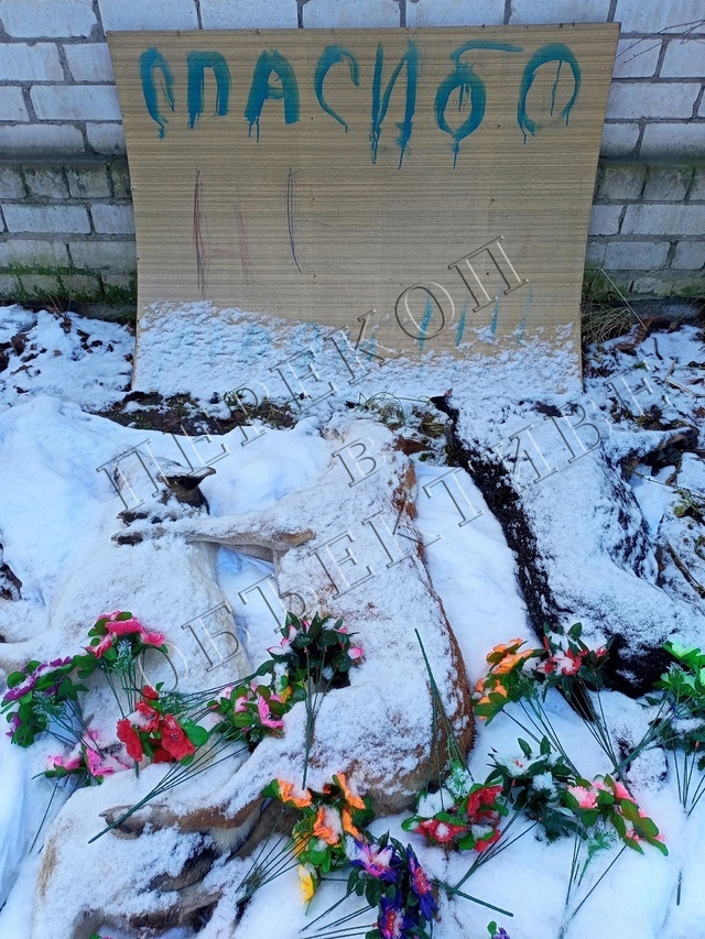 Dead dogs in Yaroslavl - Negative, Stray dogs, Yaroslavl, news, City hall, Poisoning, Monument, Monumental, Flowers, Snowdrops flowers, Dead body, Disposal, Garbage disposal, Street cleaning, VKontakte (link), Radical animal protection