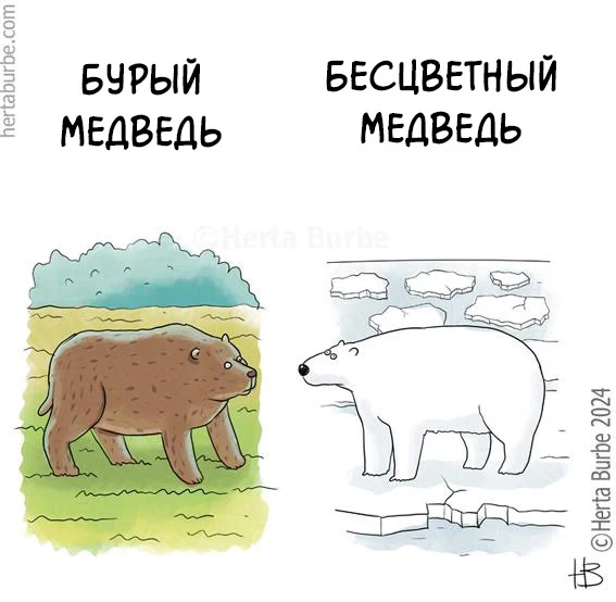 Bears - My, Herta Burbe, Translated by myself, Comics, The Bears, Polar bear, Brown bears, Color