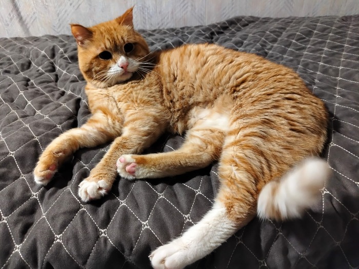 ����� - � ���� ����������� ������� ���������������, ������� �� �� ����� ������� �����.