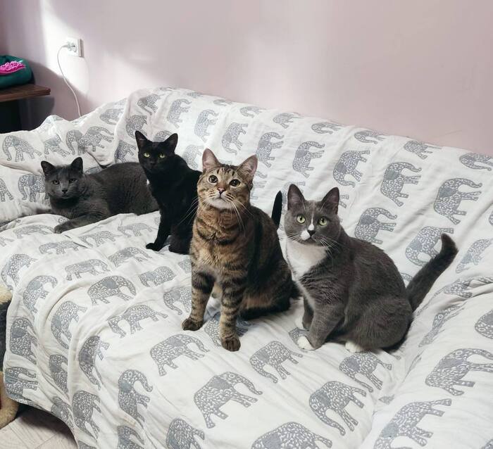 ������, �����, ����, �������