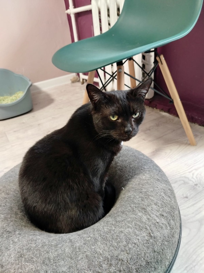 ��� �����. � ����� ���������. ������� �� �������� ���� �������, �� �� ����� � ������ ���������, ��� ������ �����, ��� ������ �� ����� �� � �������. ��������� ���������, �� ���-�� � ������������❤️