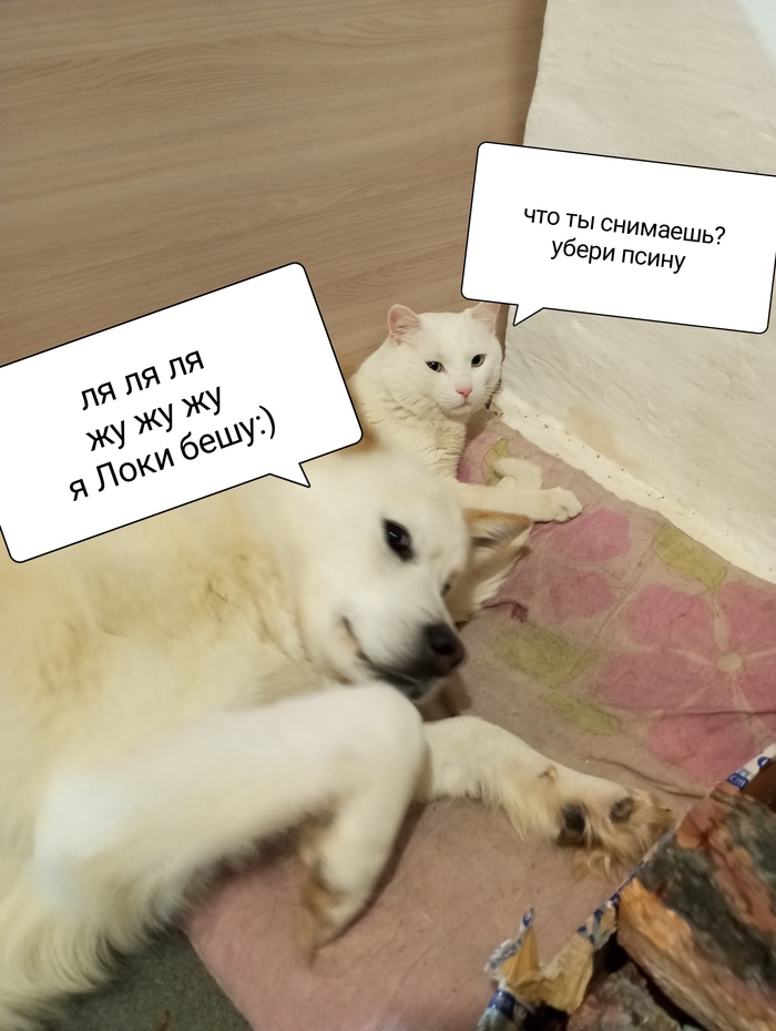     .    , ,   , 