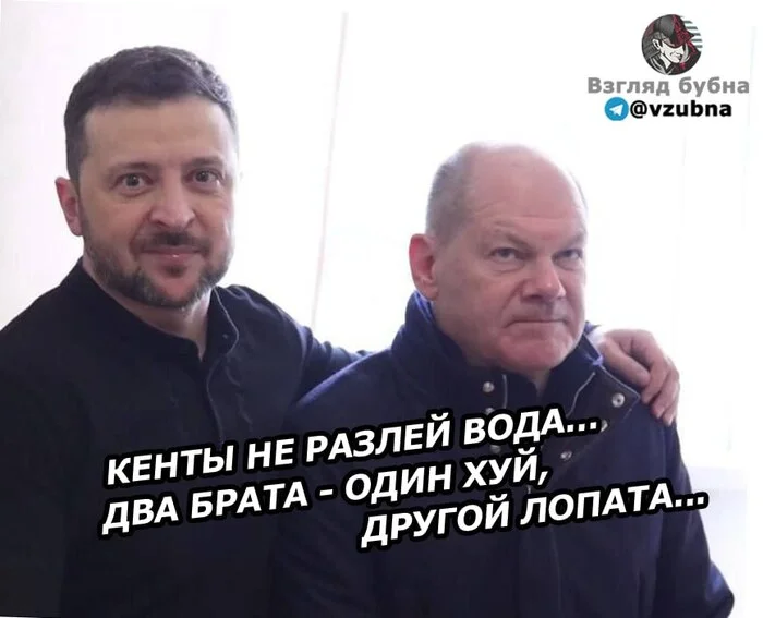 Two brothers... - My, Humor, Irony, Politics, Memes, Vladimir Zelensky, Olaf Scholz, Picture with text, Mat