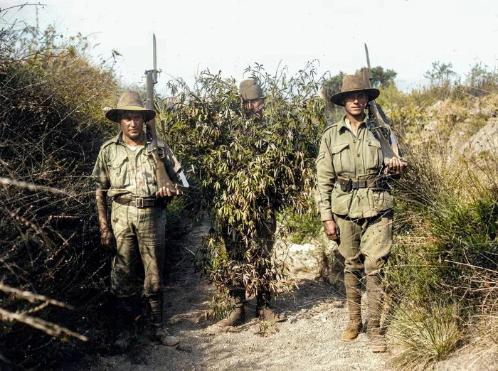 Редкие и интересные фотоматериалы с фронтов Первой Мировой Войны. 20 раскрашенных фотографий Историческое фото, Старое фото, Военная история, Солдаты, Первая мировая война, Колоризация, Длиннопост