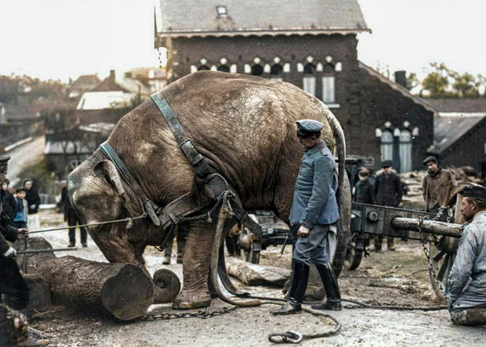 Редкие и интересные фотоматериалы с фронтов Первой Мировой Войны. 20 раскрашенных фотографий Историческое фото, Старое фото, Военная история, Солдаты, Первая мировая война, Колоризация, Длиннопост