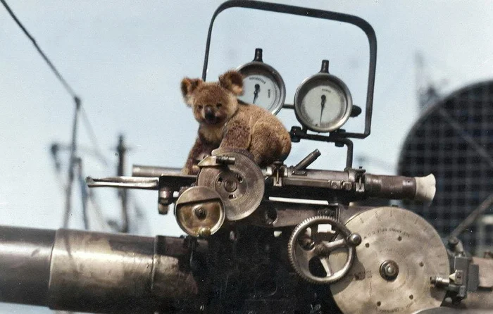 Редкие и интересные фотоматериалы с фронтов Первой Мировой Войны. 20 раскрашенных фотографий Историческое фото, Старое фото, Военная история, Солдаты, Первая мировая война, Колоризация, Длиннопост