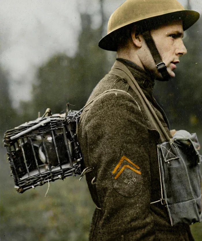 Редкие и интересные фотоматериалы с фронтов Первой Мировой Войны. 20 раскрашенных фотографий Историческое фото, Старое фото, Военная история, Солдаты, Первая мировая война, Колоризация, Длиннопост