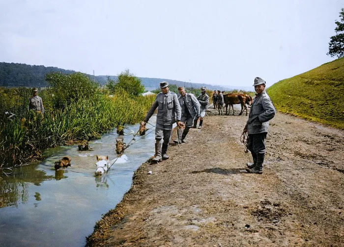 Редкие и интересные фотоматериалы с фронтов Первой Мировой Войны. 20 раскрашенных фотографий Историческое фото, Старое фото, Военная история, Солдаты, Первая мировая война, Колоризация, Длиннопост