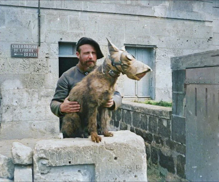 Редкие и интересные фотоматериалы с фронтов Первой Мировой Войны. 20 раскрашенных фотографий Историческое фото, Старое фото, Военная история, Солдаты, Первая мировая война, Колоризация, Длиннопост