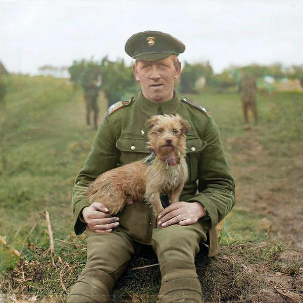 Редкие и интересные фотоматериалы с фронтов Первой Мировой Войны. 20 раскрашенных фотографий Историческое фото, Старое фото, Военная история, Солдаты, Первая мировая война, Колоризация, Длиннопост