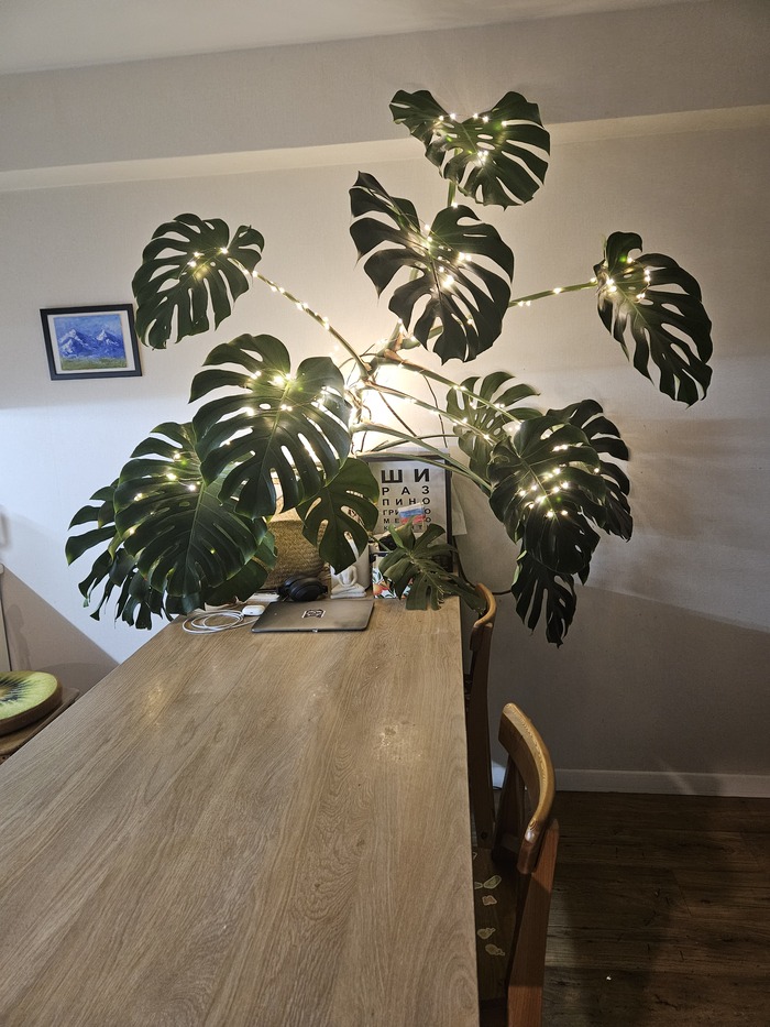 Новогодняя Монстера