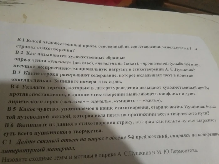 Помогите, пожалуйста, по литературе - Моё, Литература, Александр Сергеевич Пушкин, Русская литература