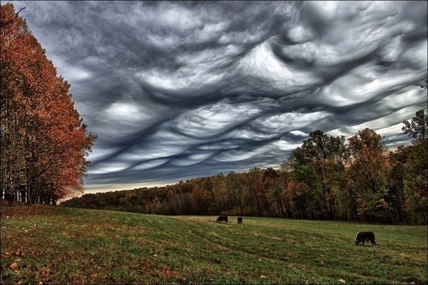 The Miracle of the Cloud - The photo, Nature, Clouds, Miracle, Beautiful view, Longpost