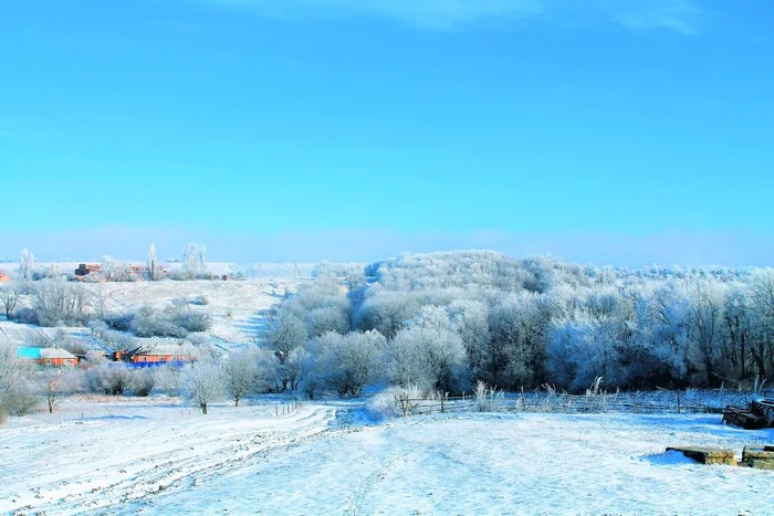 Frosty afternoon - My, The photo, Nature, Landscape, Village, Winter, Snow