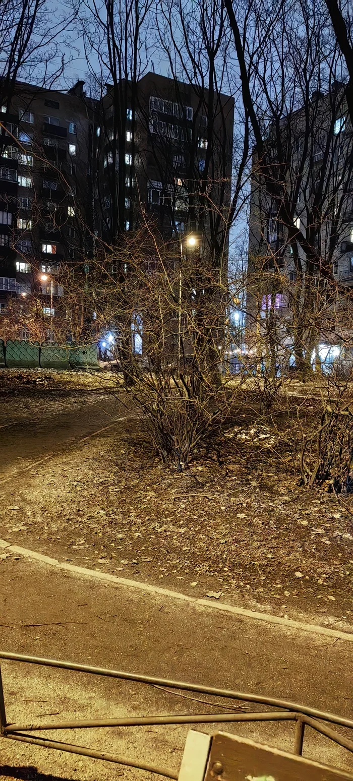 Крыши домов дрожат... - Моё, Виктор Цой, Бытовуха, Ночь, Длиннопост