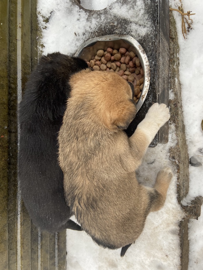 ���� ������ ������ ���, ����� ��� ������� ��� ����� ��������)