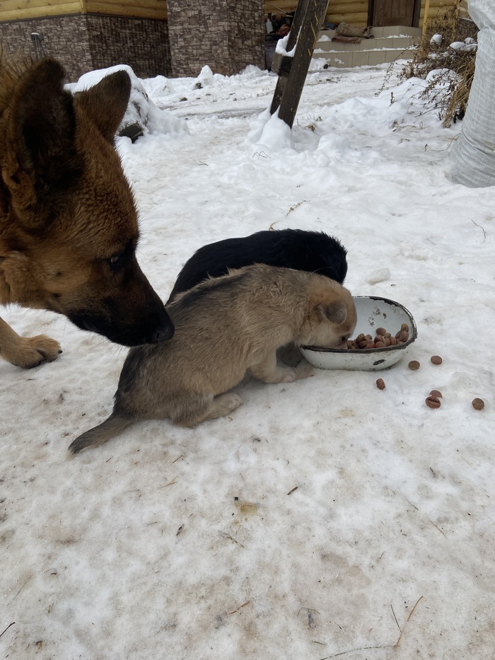 � ����� ��������� ���� ������ ������ �� �������, � ���� �� ������, ��� �� ���� ��������� �������)