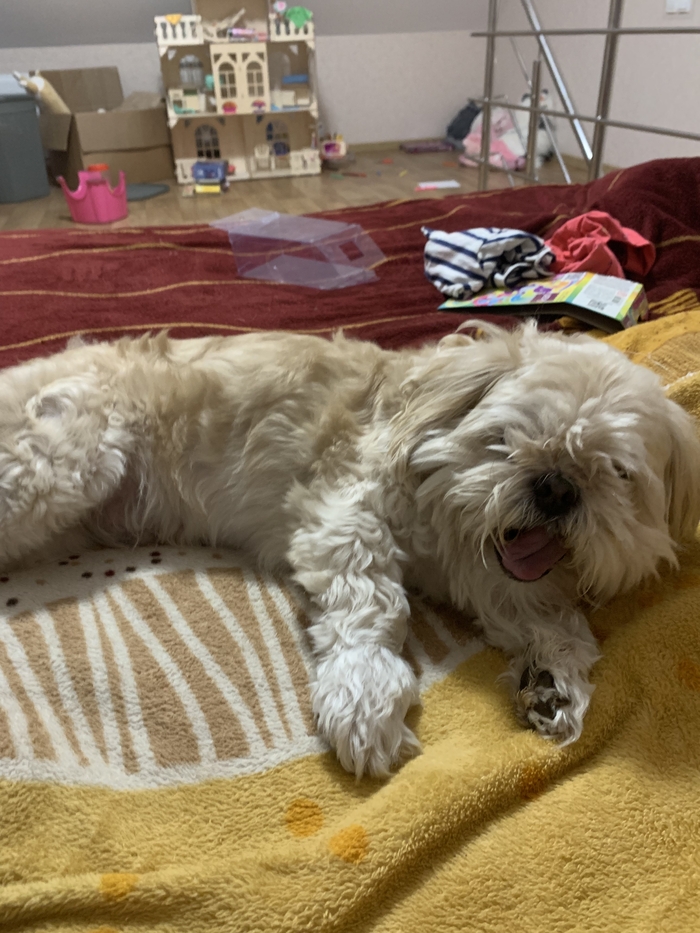 Сирия,Абхазия,что за безобразие…