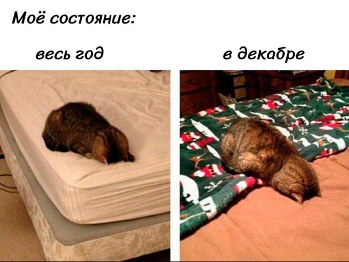  ,   , , ,  , Telegram ()