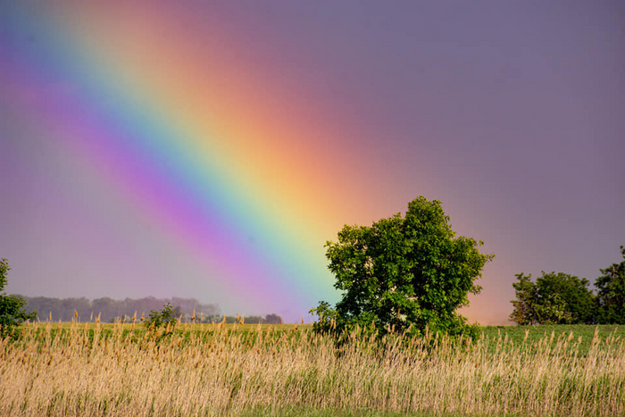 Rainbow
