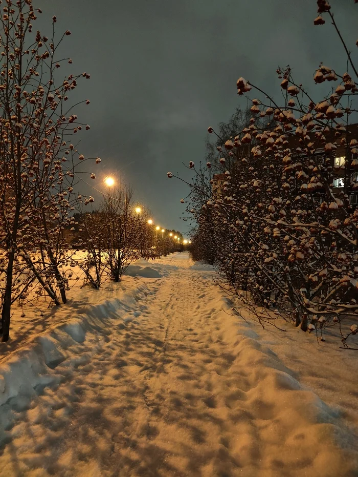 Snowy - My, Siberia, Winter, Novosibirsk, Snow, December, Mobile photography, Happiness