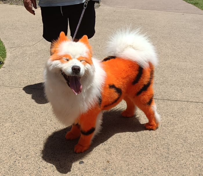 Похоже он научился позировать, по выше к вниманию