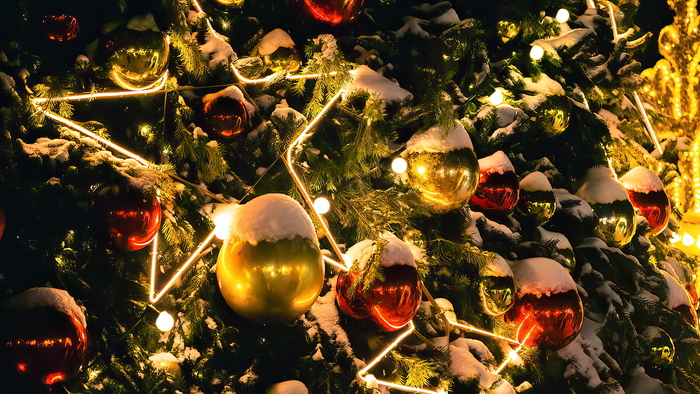  - <!--noindex--><a href="https://pikabu.ru/story/teatralnyiy_skver_novosibirsk_12110910?u=http%3A%2F%2Fwww.openmainphoto.ru&t=www.openmainphoto.ru&h=267babbd610108e788db871f33e028ac21fb4c58" title="http://www.openmainphoto.ru" target="_blank" rel="nofollow noopener">www.openmainphoto.ru</a><!--/noindex-->