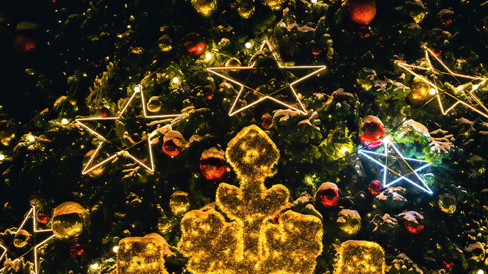  - <!--noindex--><a href="https://pikabu.ru/story/teatralnyiy_skver_novosibirsk_12110910?u=http%3A%2F%2Fwww.openmainphoto.ru&t=www.openmainphoto.ru&h=267babbd610108e788db871f33e028ac21fb4c58" title="http://www.openmainphoto.ru" target="_blank" rel="nofollow noopener">www.openmainphoto.ru</a><!--/noindex-->