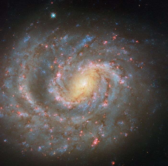    "NGC 1637"    ! , ,  , ,  ,   
