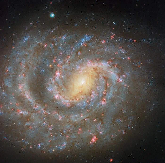 Spiral arms of galaxy NGC 1637 from the Hubble Space Telescope! - Universe, Astronomy, Hubble telescope, Galaxy, Birth of a Star, Pictures from space