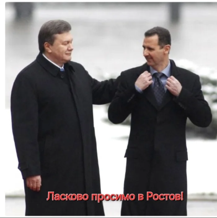 Friends in misfortune - Yanukovych, Bashar al-Assad, Politics