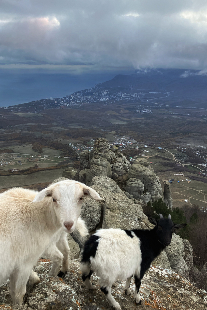 Мобильное фото