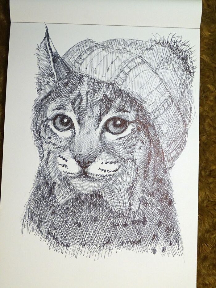 Lynx in a hat painted - My, Drawing, Lynx, Cap, Small cats, Black pen, Wild animals