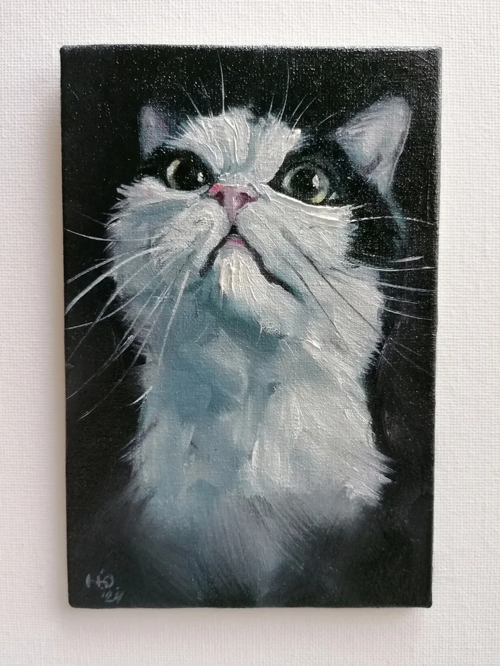 Vaska - My, cat, Oil painting, Painting, Artist, Pets, Etude, Animalistics, Author's painting, Canvas, Butter, Painting