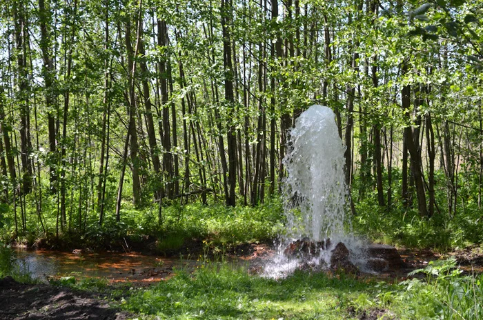 Tambov Geyser - My, Tambov Region, Tambov, Hike, Road trip, Forest, Tourism, The nature of Russia, Travel across Russia, Longpost