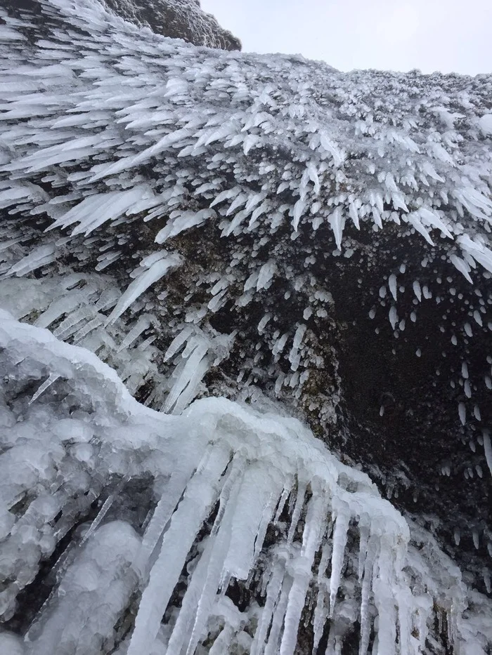 Frozen moments of life - My, Ice, Icicles, Winter