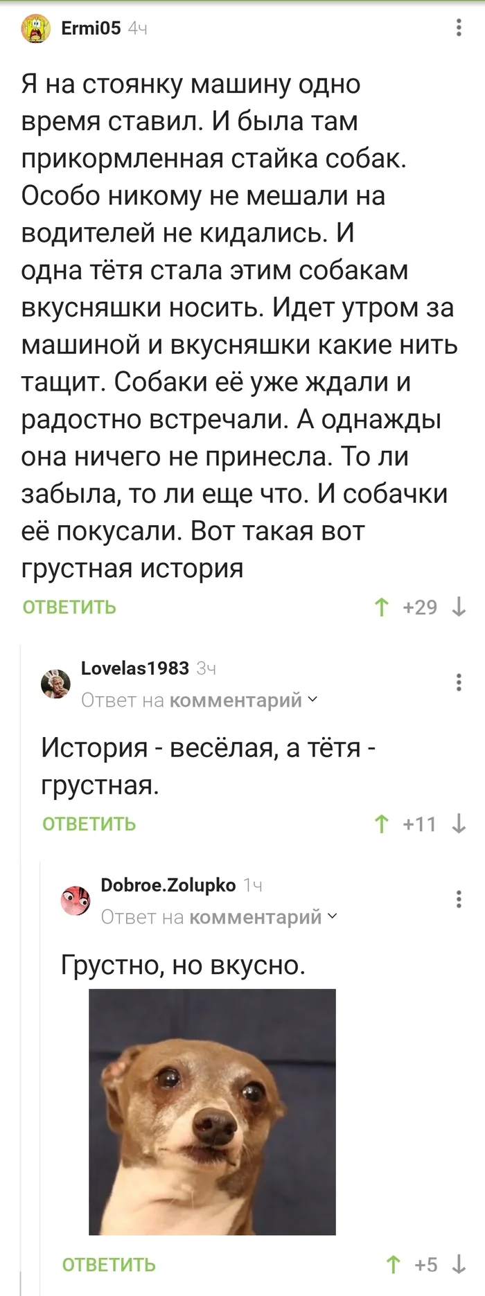 Недокормила? - Бродячие собаки, Кормление, Кусается, Комментарии на Пикабу, Длиннопост, Скриншот