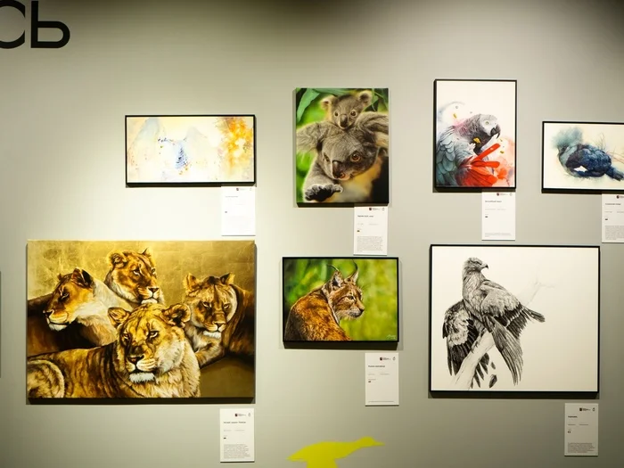 Exhibition Golden Turtle - My, Exhibition, Painting, Watercolor, Drawing, Animalistics, Birds, Moscow, Longpost