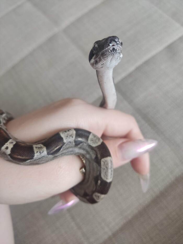 Тонкая шейка