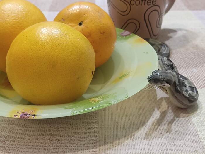 Есть что вкусненького?)